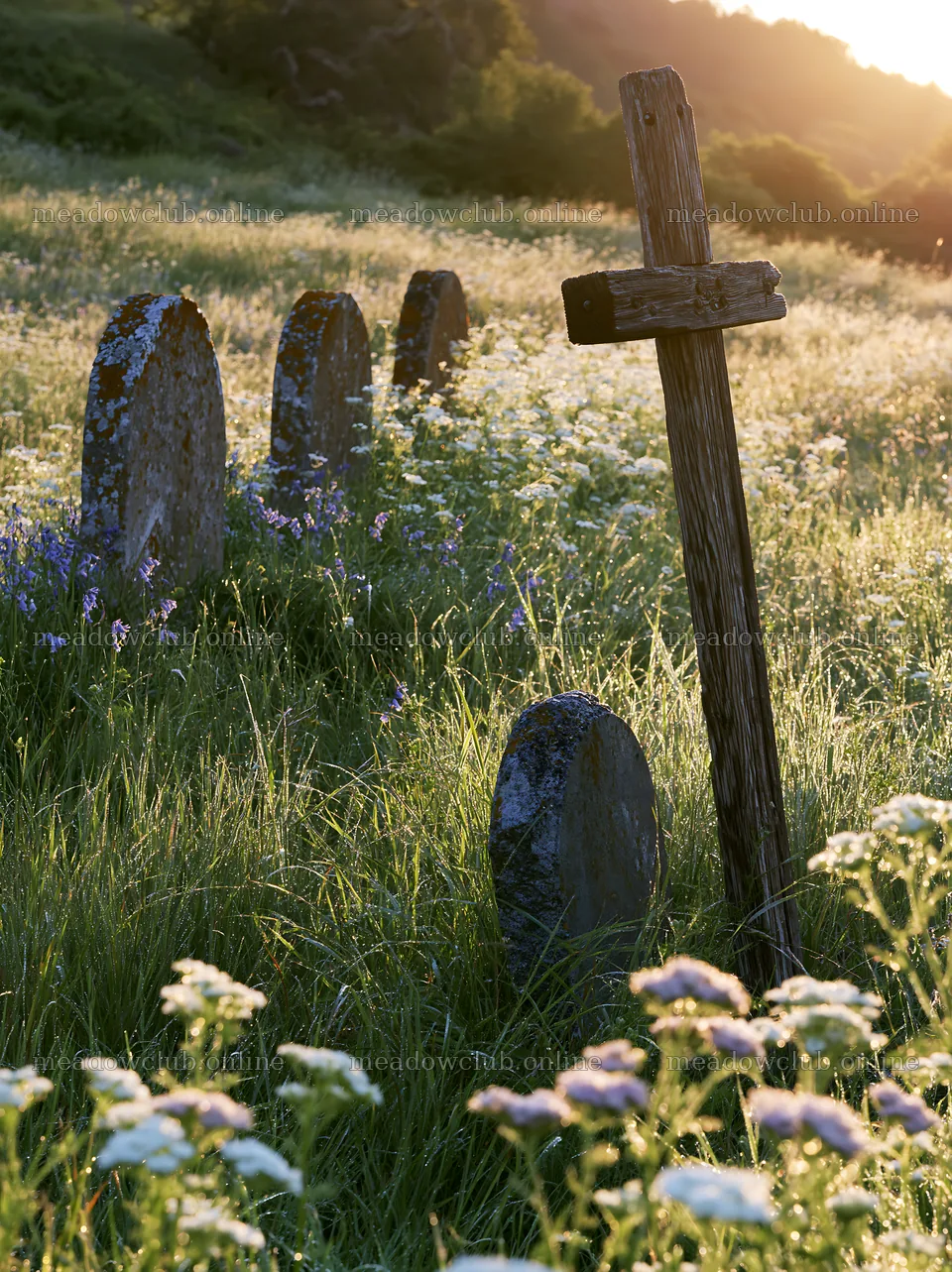 Christian cross in meadow at sunrise – meadow photos 6866x9174