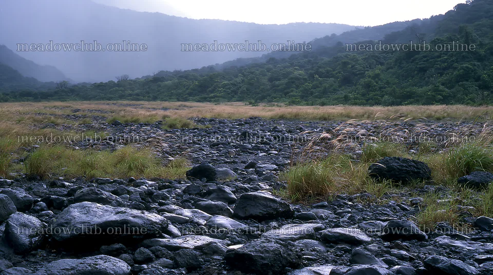 Kagoshima volcanic meadow with pumice foreground – meadow photos 10608x5938