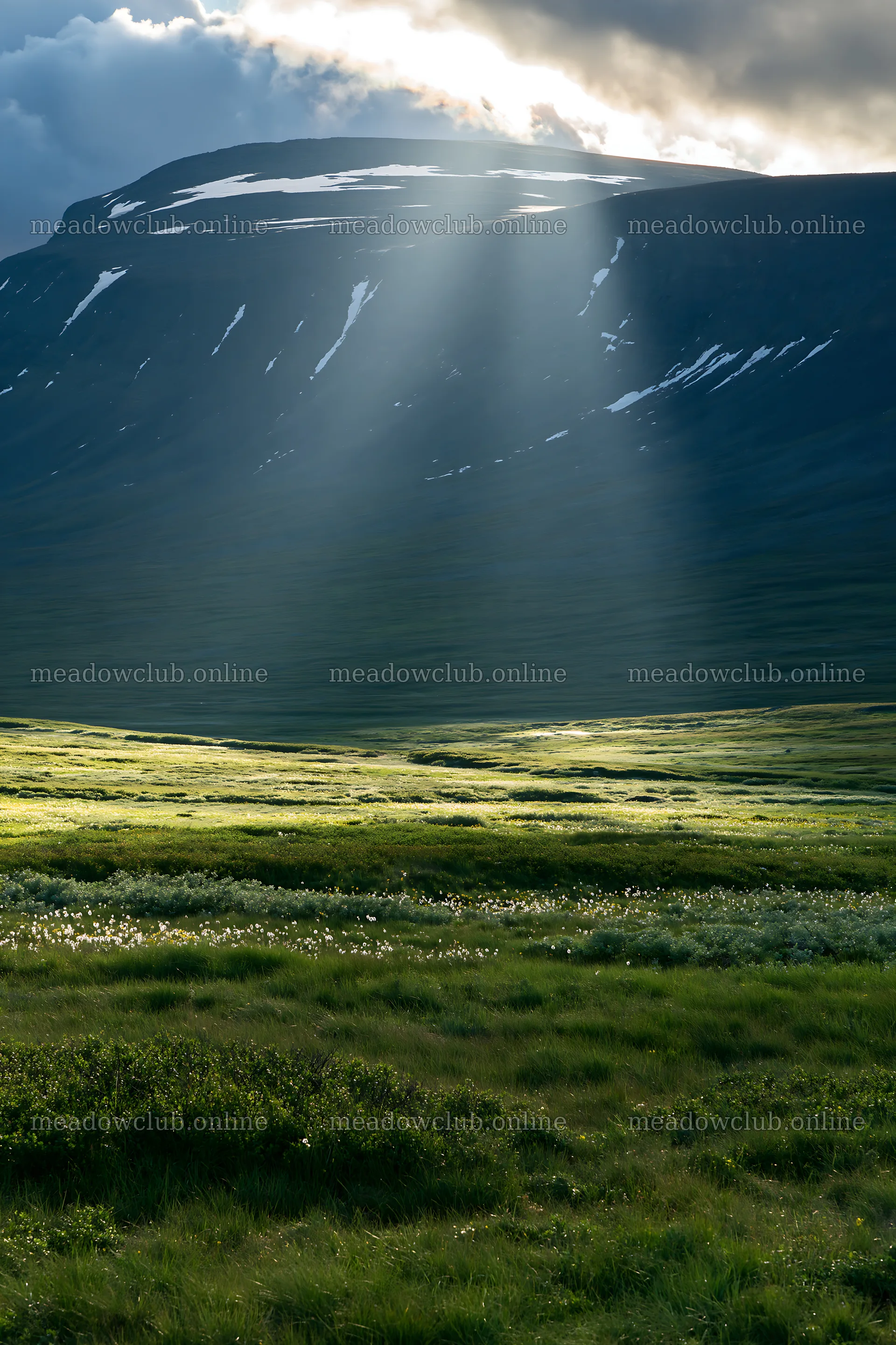 Sunrays shining on mountain meadow during daytime – meadow photos 6480x9722