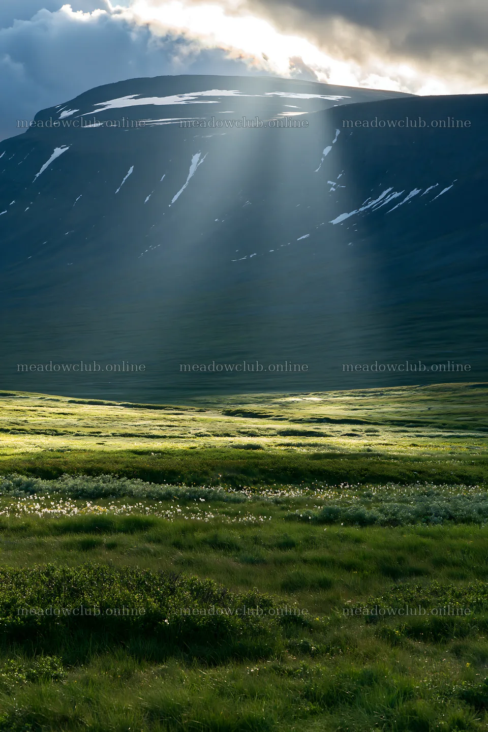 Sunrays shining on mountain meadow during daytime – meadow photos 6480x9722