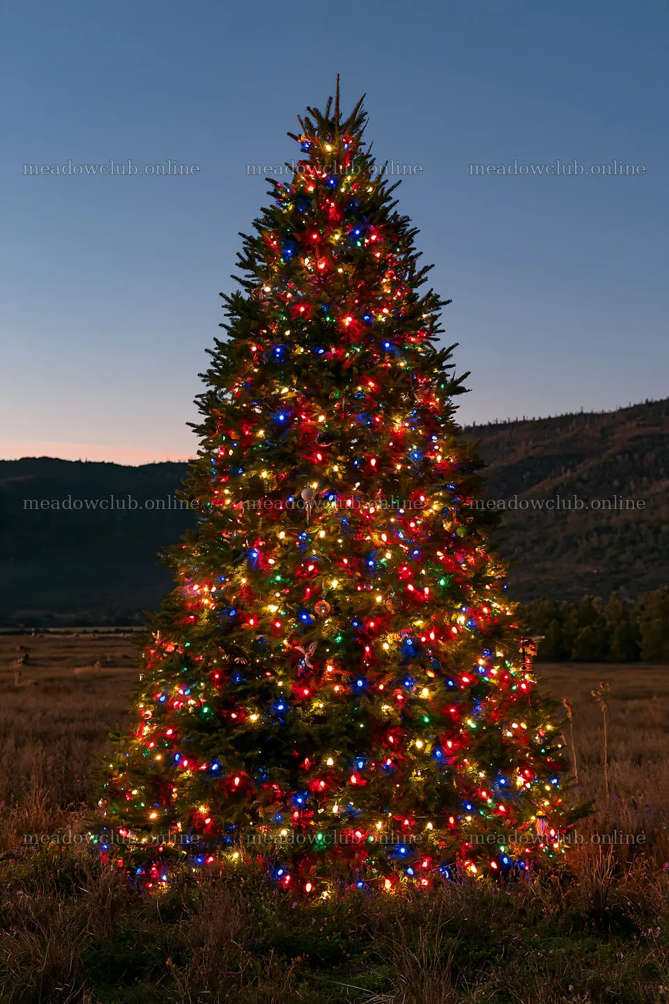 Christmas tree with ornaments in valley meadow – meadow photos 6480x9722