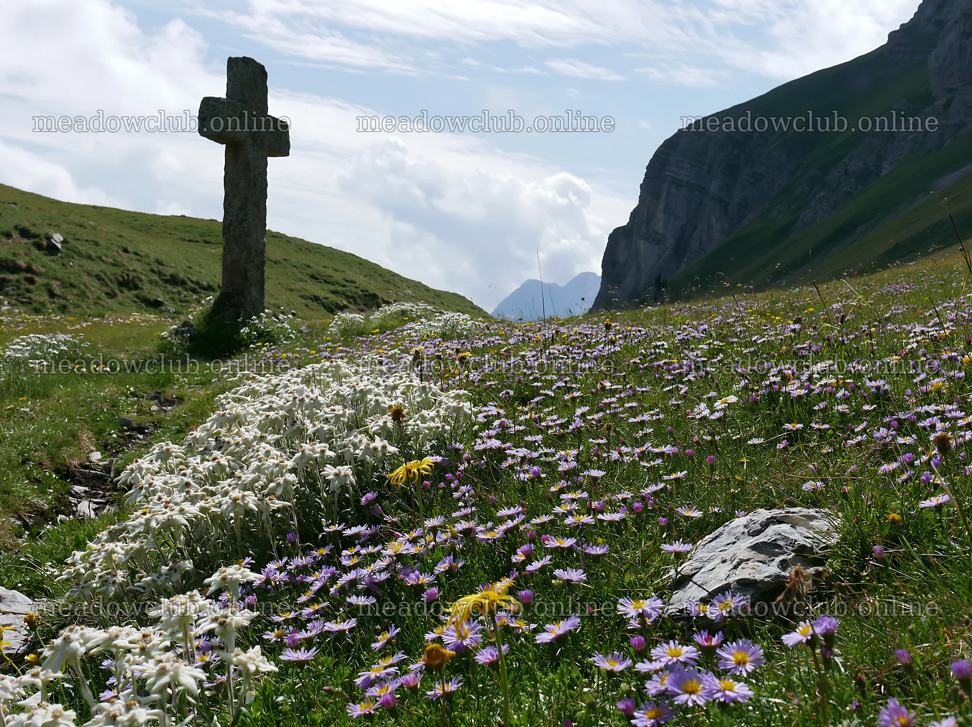 Christian cross in alpine meadow with wildflowers – meadow photos 9174x6866