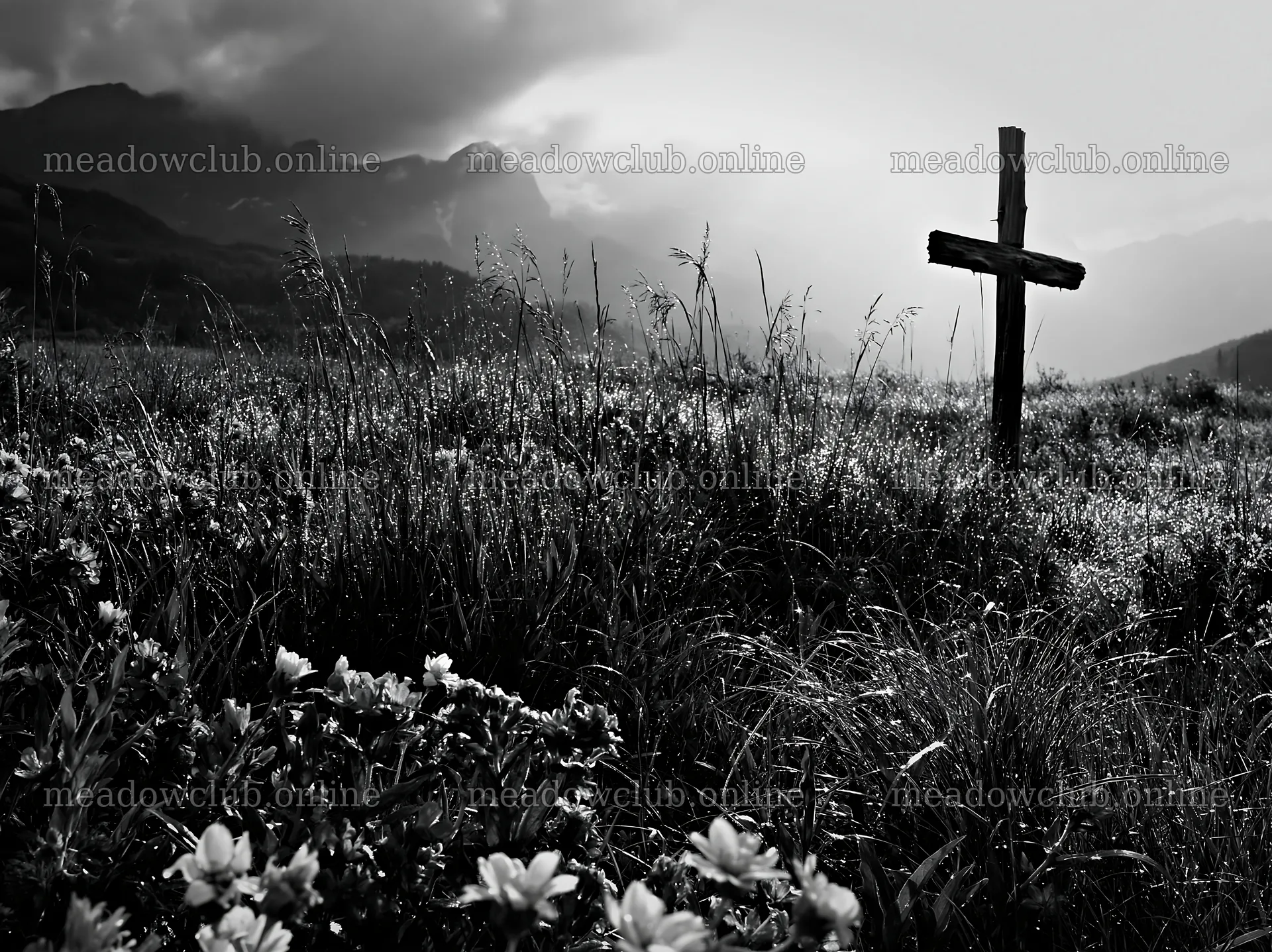 Wooden Christian cross in mountain meadow under cloudy sky – meadow photos 9174x6866