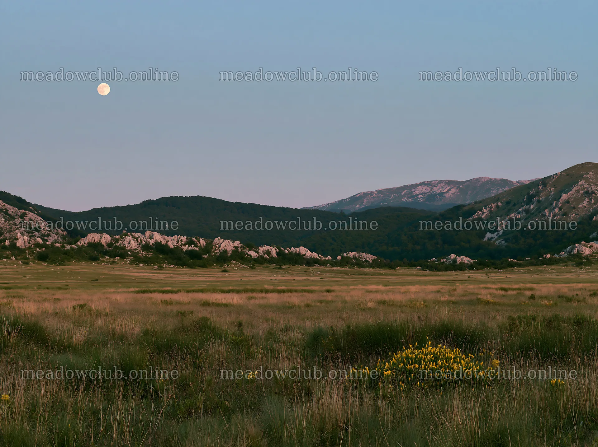 Moonrise over meadow landscape with mountains – meadow photos 9174x6866