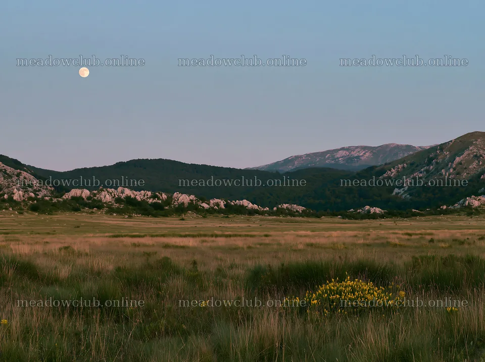 Moonrise over meadow landscape with mountains – meadow photos 9174x6866