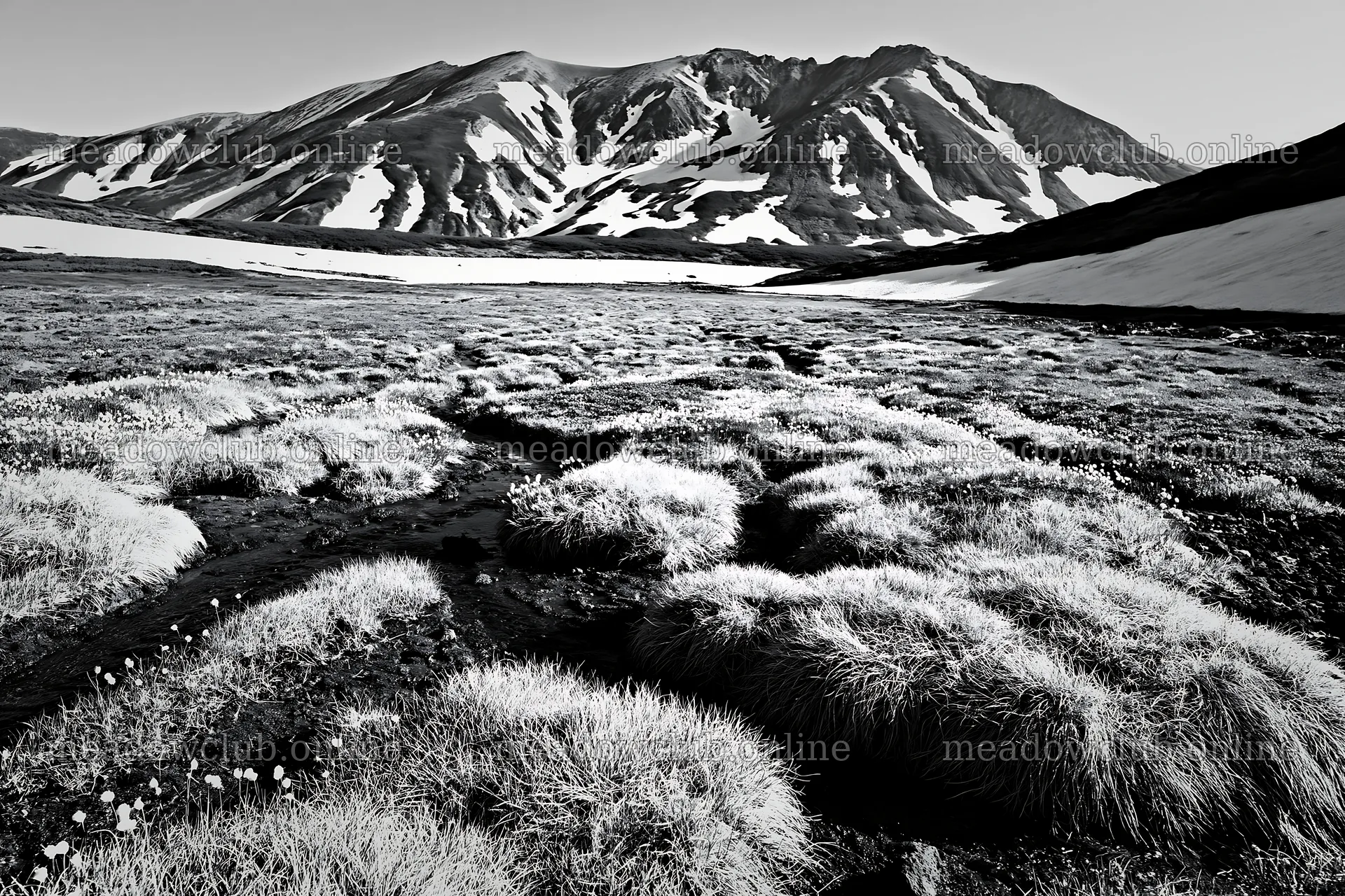Akita meadow with snowmelt and silver grasses – meadow photos 9722x6480