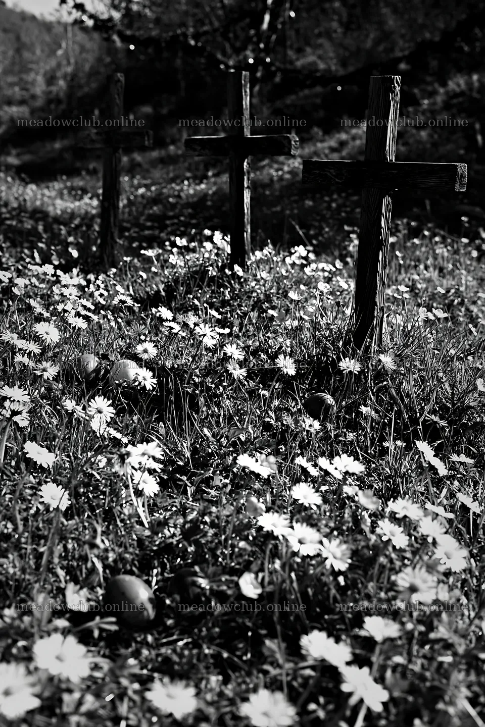 Three Christian crosses in a meadow with flowers – meadow photos 6480x9722