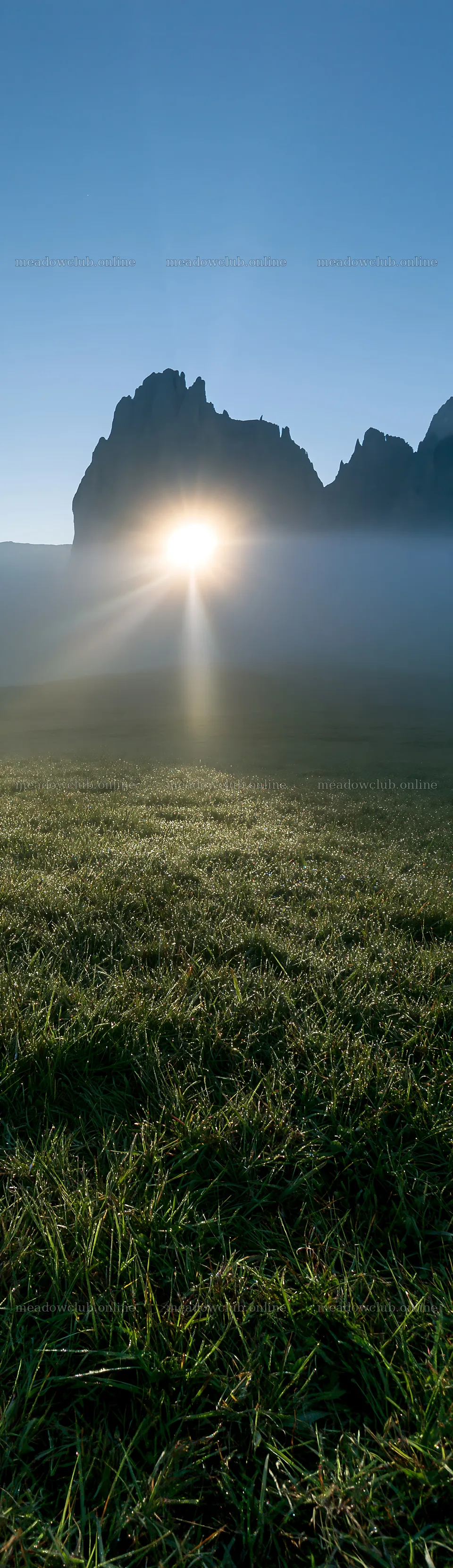 Sunbeams shine through fog at Alpe di Siusi mountain meadow – meadow photos 4268x14762