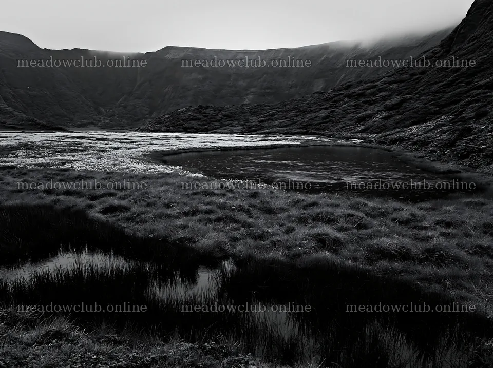 Dewy meadow at dusk in a mountain valley – meadow photos 9174x6866