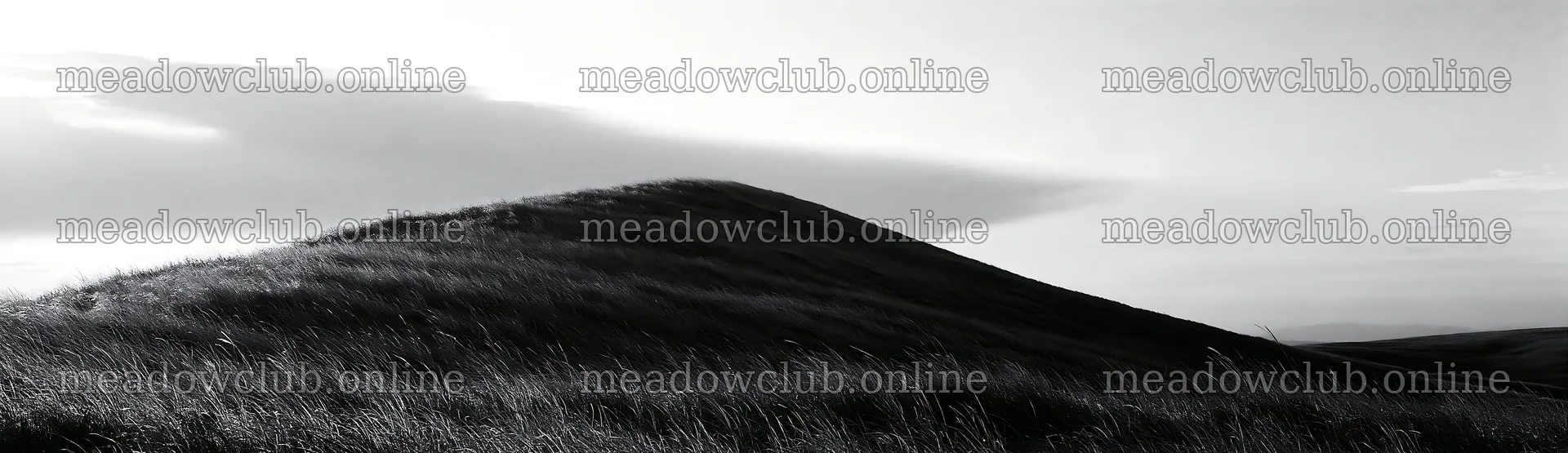 Windy meadow with dune grasses in Tottori – meadow photos 14762x4268