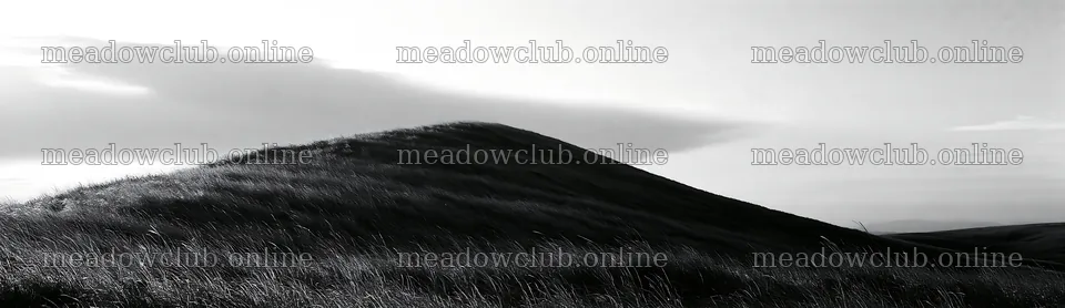 Windy meadow with dune grasses in Tottori – meadow photos 14762x4268