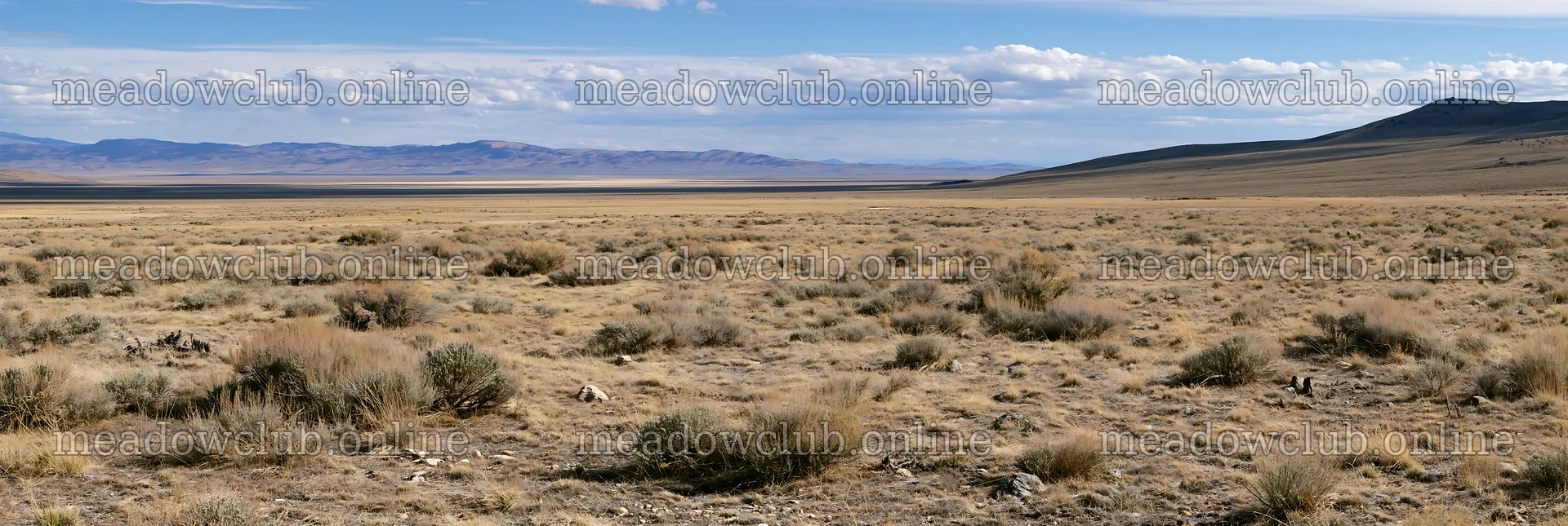Drought-tolerant meadow with vast dry landscape and distant hills – meadow photos 13690x4602