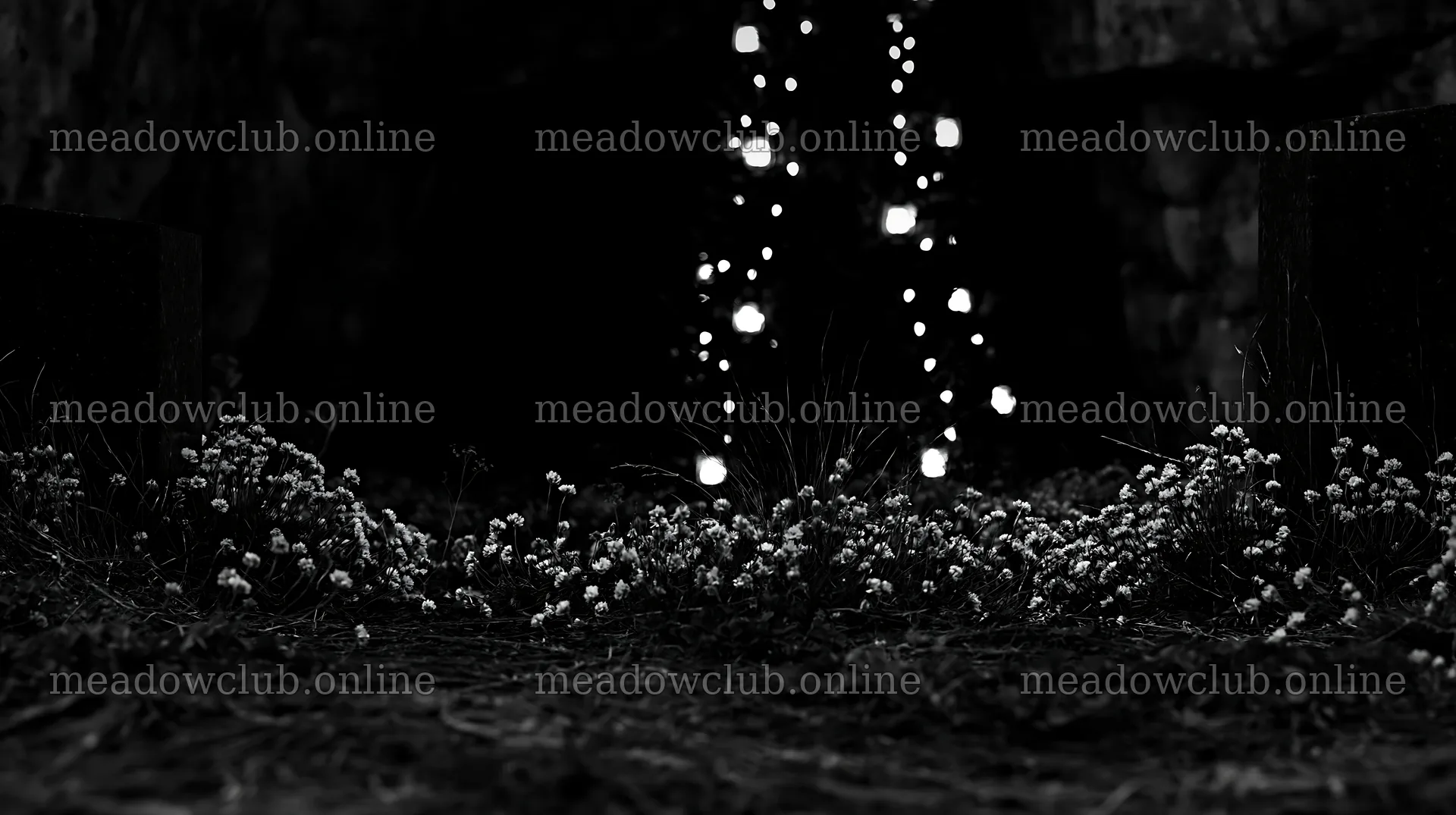Christmas tree with lanterns in meadow by cave – meadow photos 10608x5938