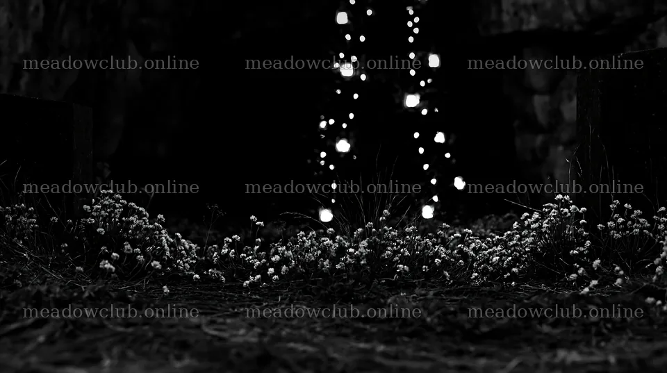 Christmas tree with lanterns in meadow by cave – meadow photos 10608x5938