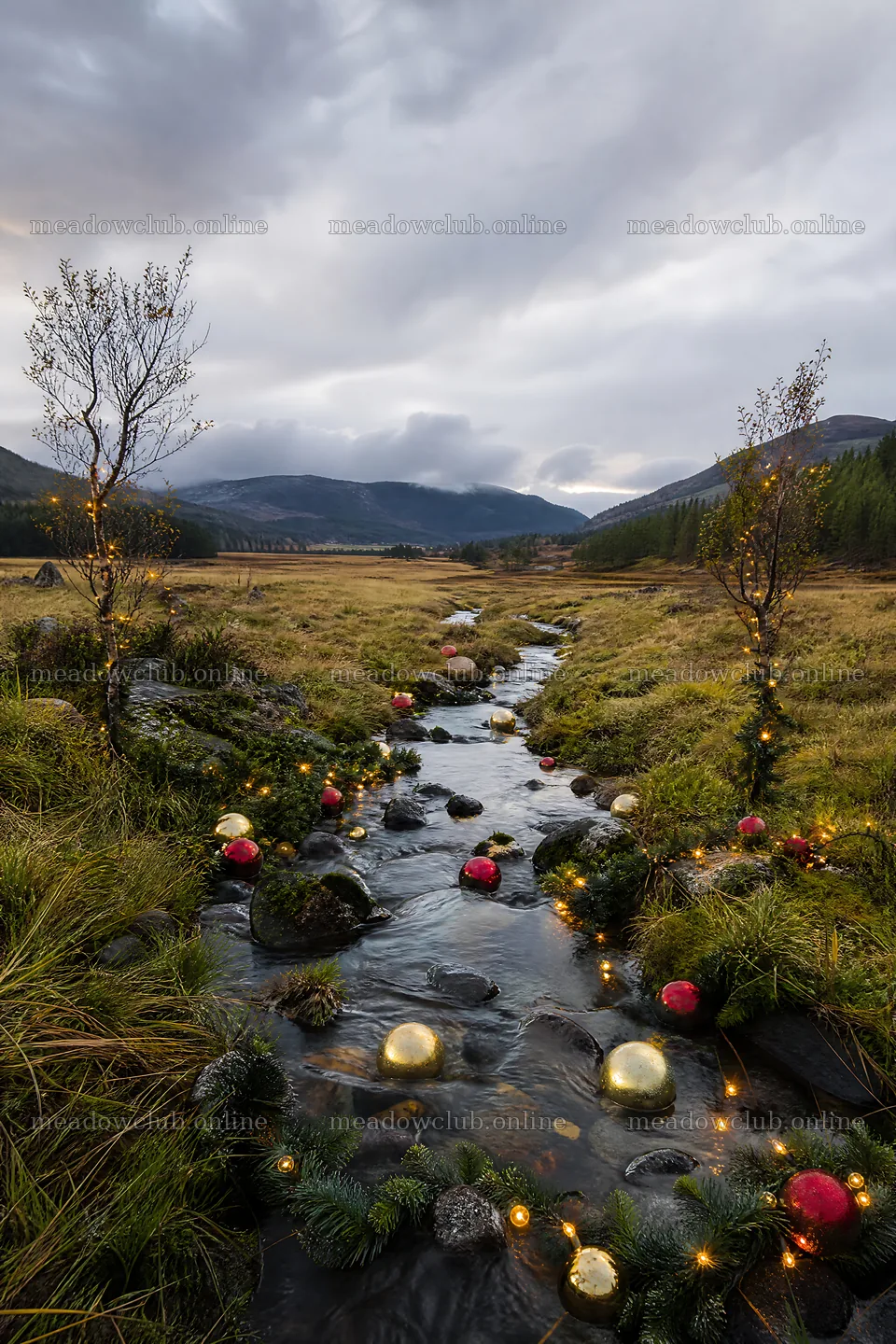 Christmas ornaments and lights along stream in meadow – meadow photos 6480x9722
