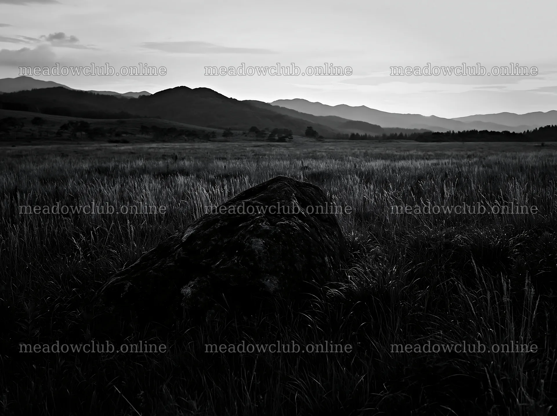 Aomori climate resilient meadow with boulder at sunset – meadow photos 9174x6866