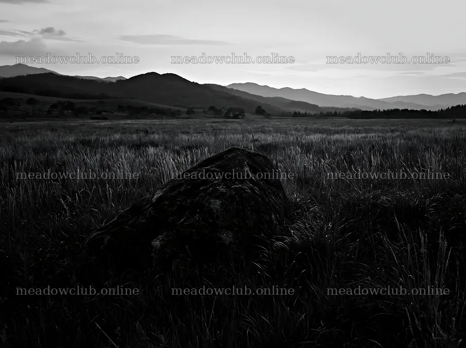 Aomori climate resilient meadow with boulder at sunset – meadow photos 9174x6866