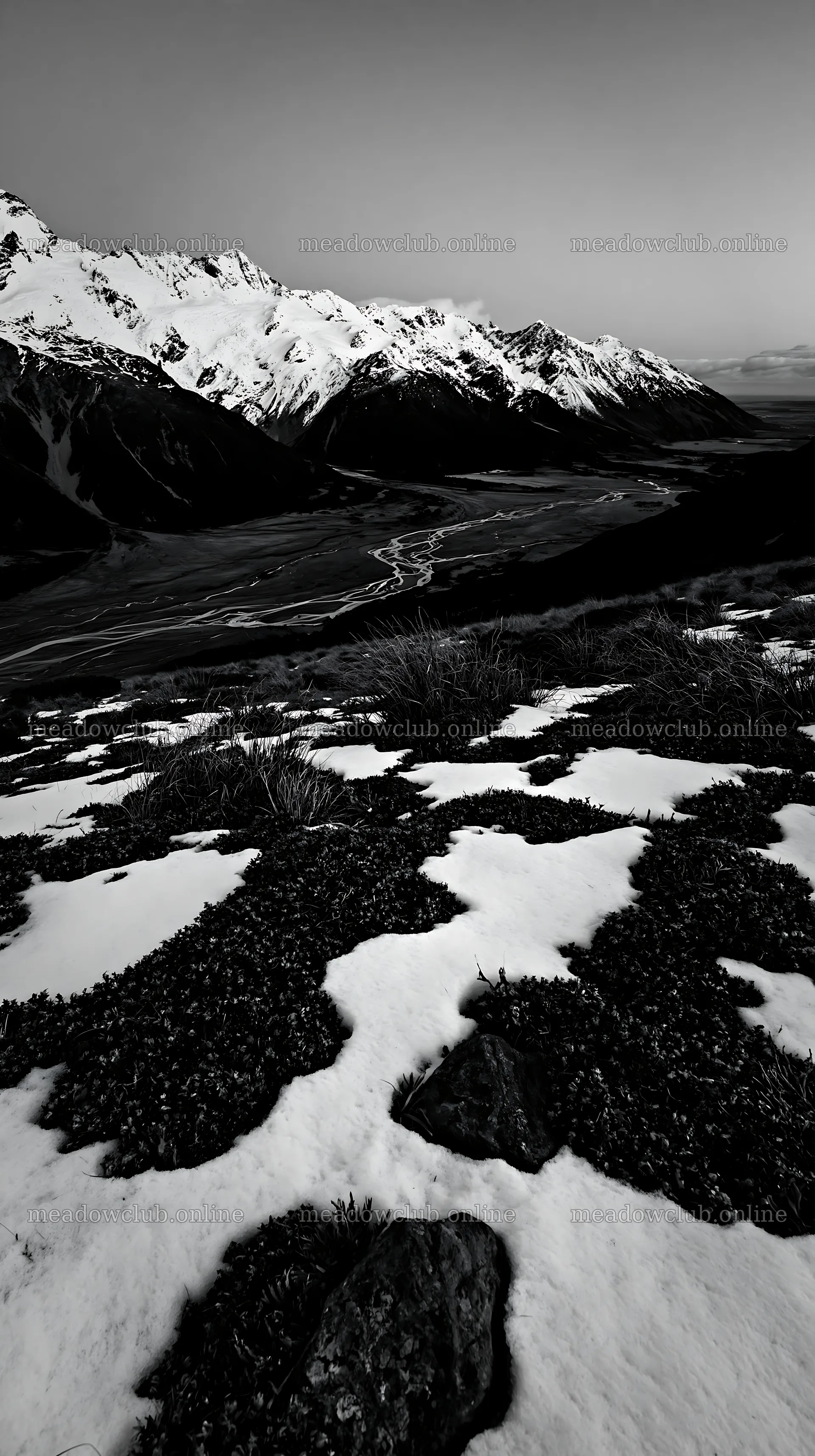 Snowmelt meadow with mountains in the background – meadow photos 5938x10608