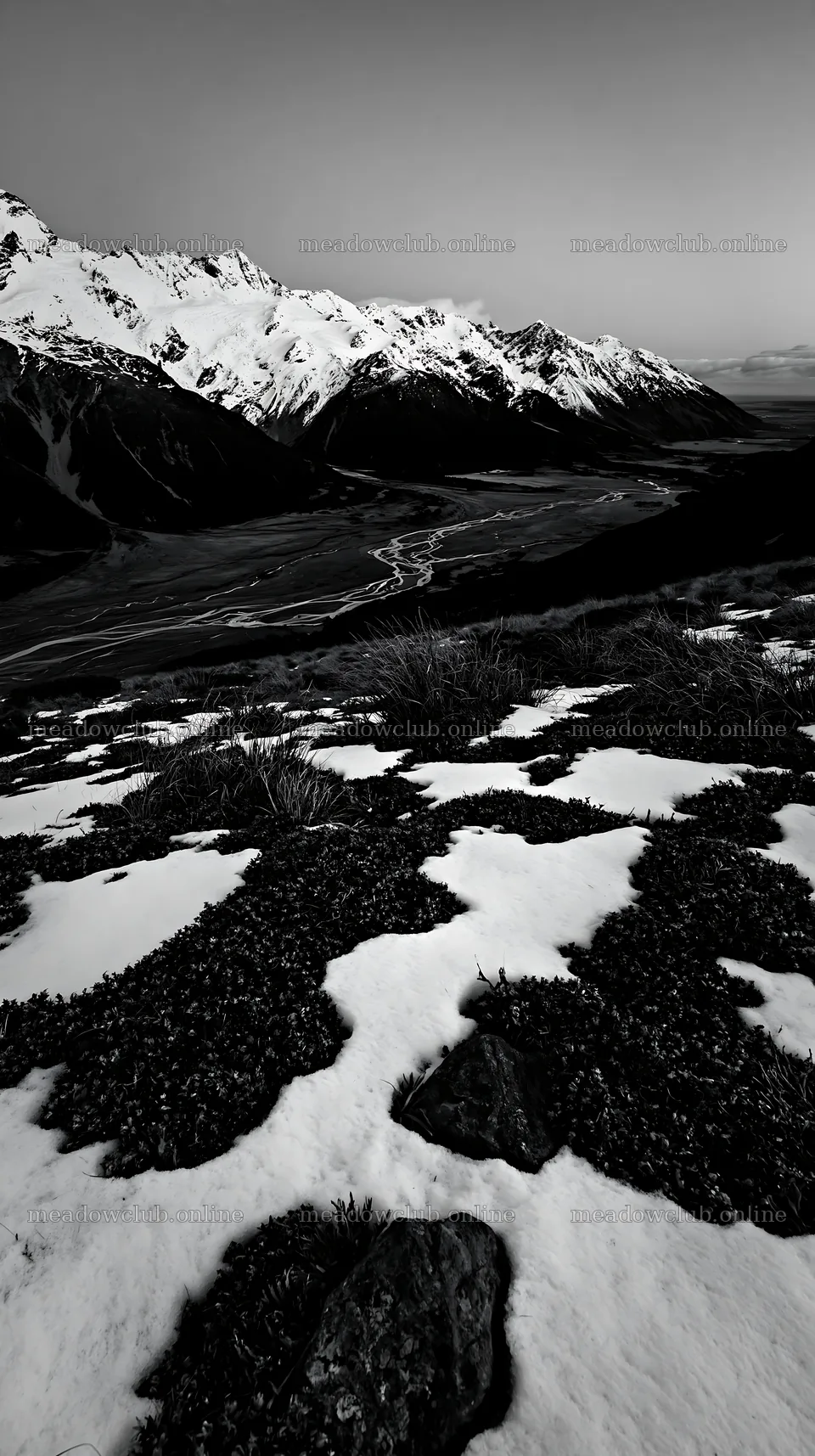 Snowmelt meadow with mountains in the background – meadow photos 5938x10608
