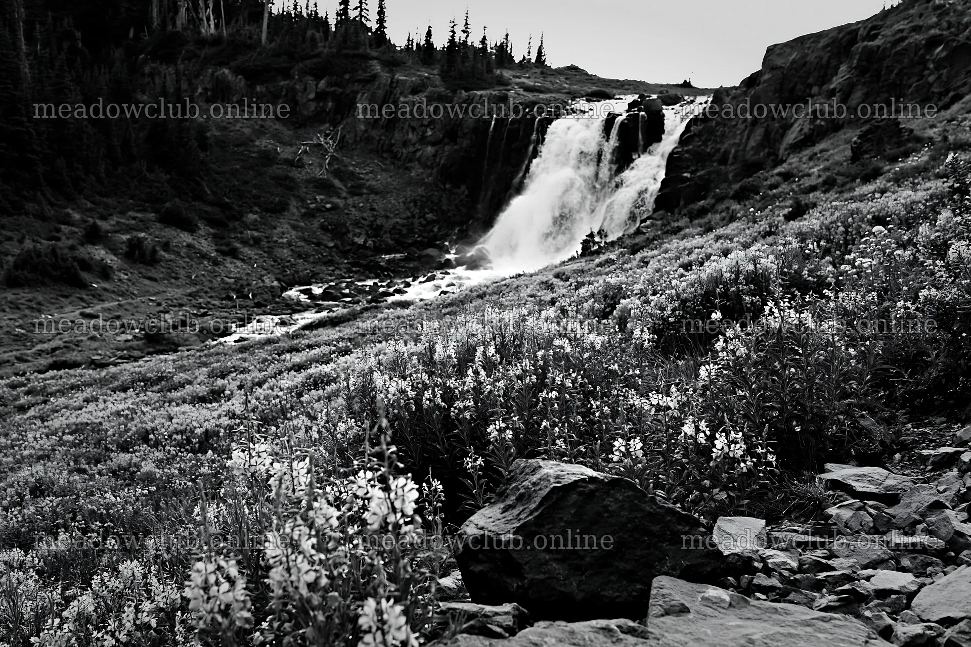 Cascade valley flower meadow with waterfall and rocks – meadow photos 9722x6480