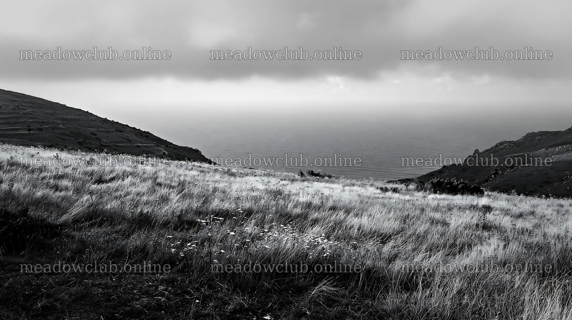 Meadow overlooking Atlantic coast in Portugal with distant island – meadow photos 10608x5938