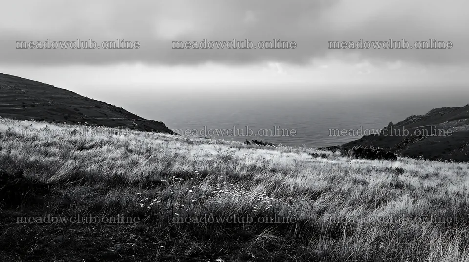 Meadow overlooking Atlantic coast in Portugal with distant island – meadow photos 10608x5938