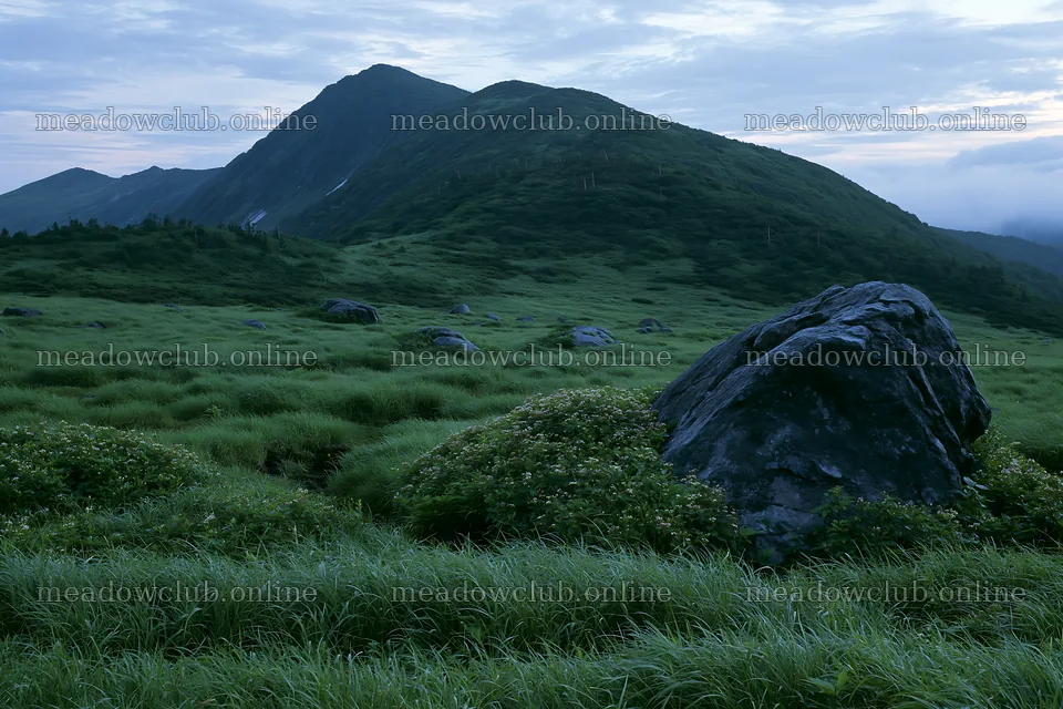 Aomori climate resilient meadow with boulder under cloudy sky – meadow photos 9722x6480