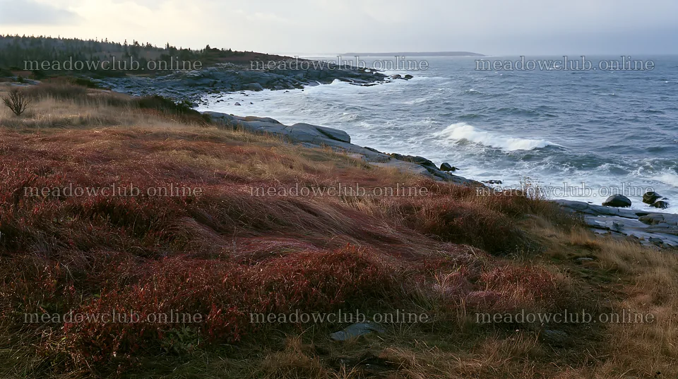 Frost-touched meadow near rocky coast with ocean waves – meadow photos 10608x5938