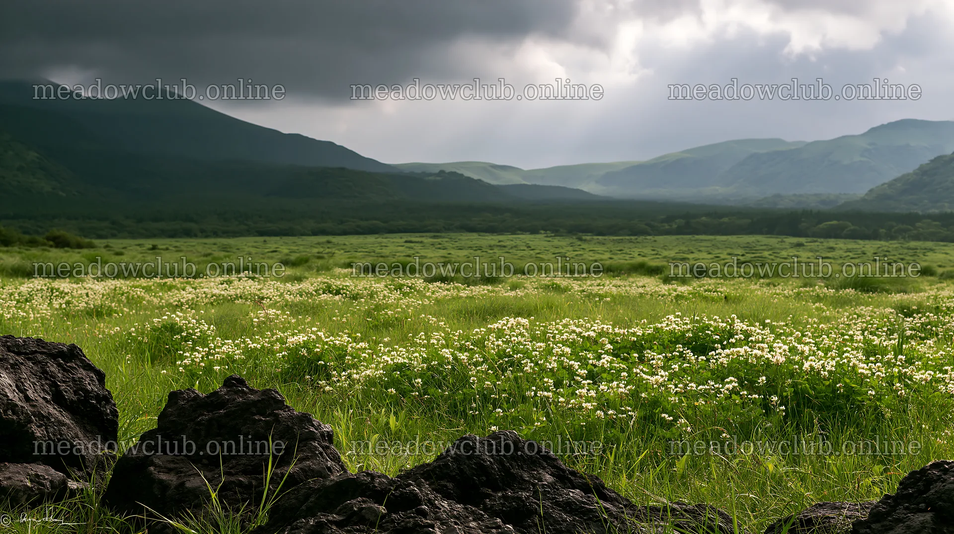 Kumamoto volcanic meadow dark rock foreground with hills – meadow photos 10608x5938