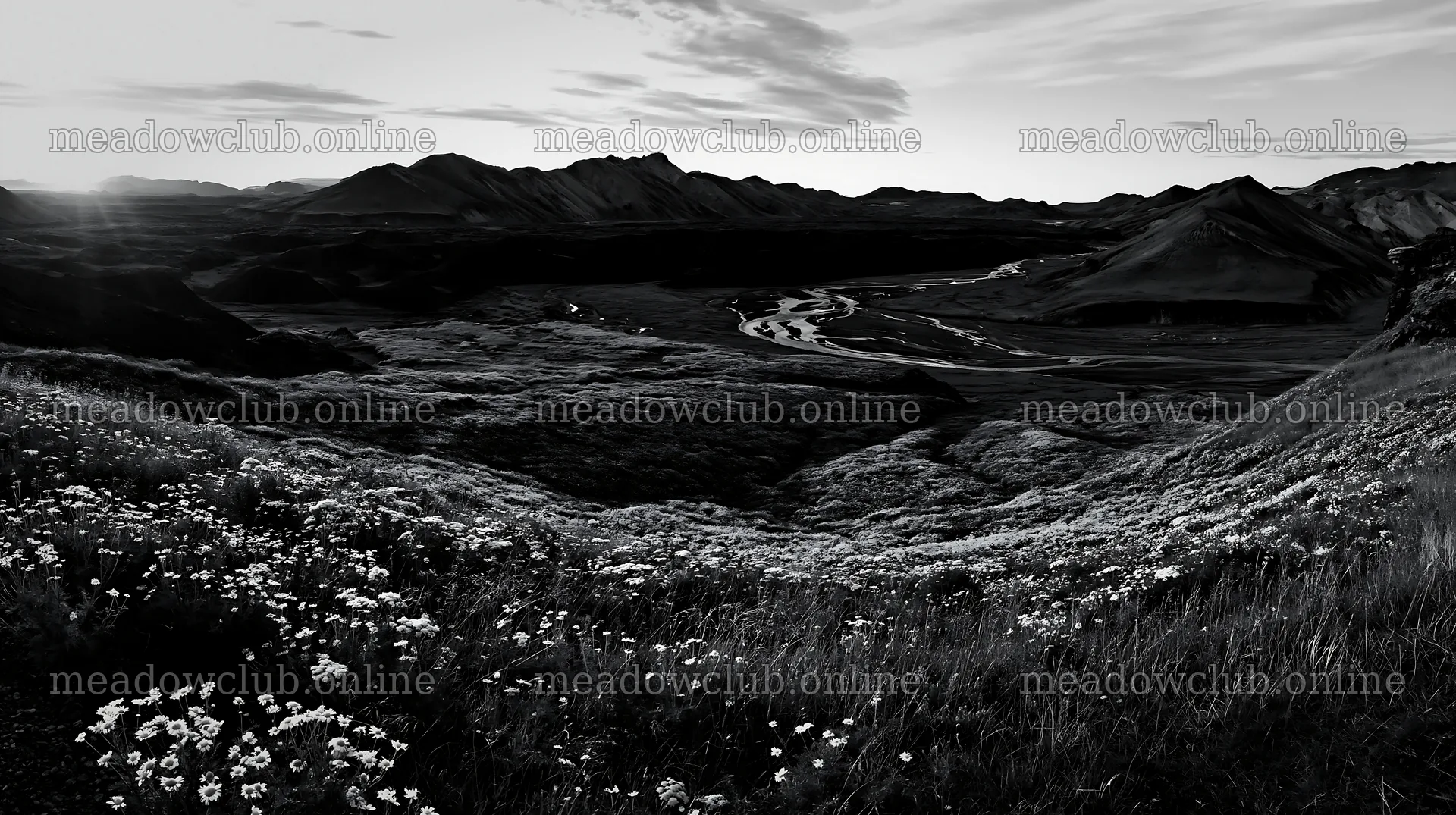 Meadow view with river and mountains during whiteout – meadow photos 10608x5938