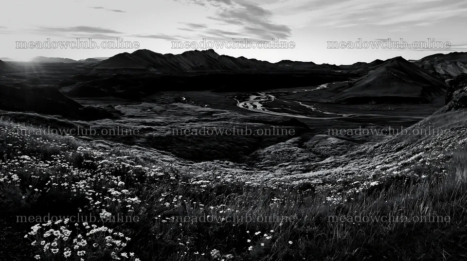 Meadow view with river and mountains during whiteout – meadow photos 10608x5938
