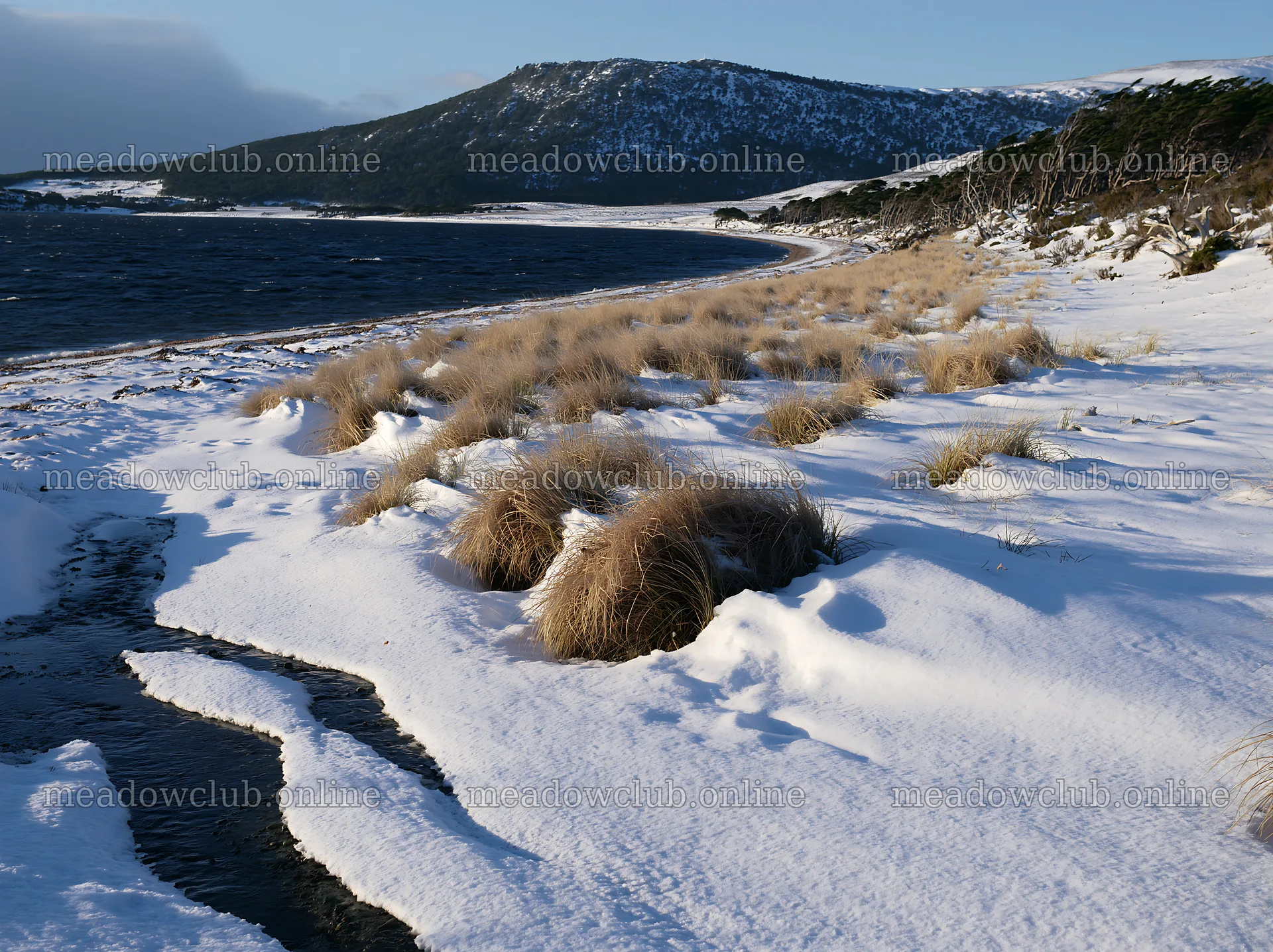 Snowy beach meadow with water and hills in winter – meadow photos 9174x6866