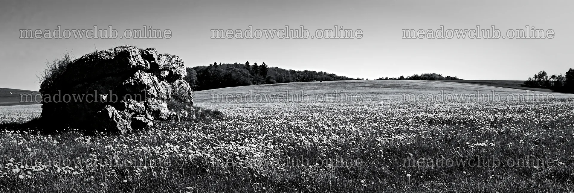 Spring meadow with rock in a black and white landscape – meadow photos 13690x4602
