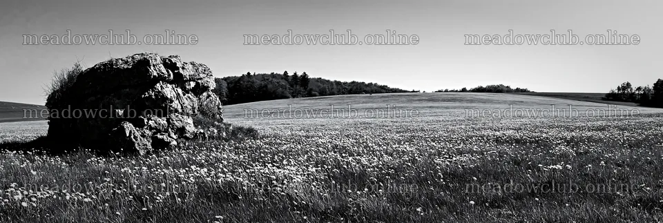 Spring meadow with rock in a black and white landscape – meadow photos 13690x4602