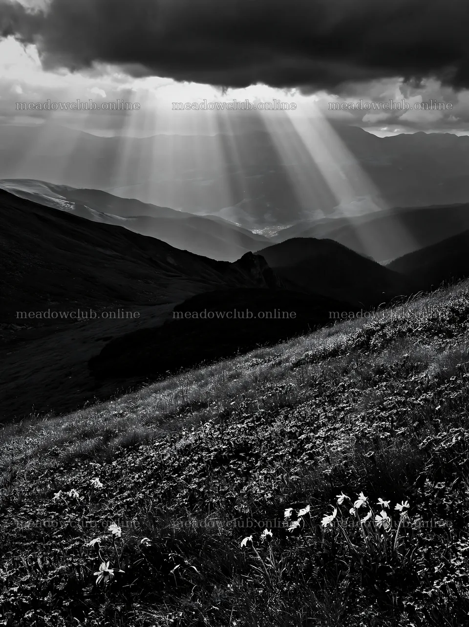 Light rays over meadow in Bucegi Mountains – meadow photos 6866x9174