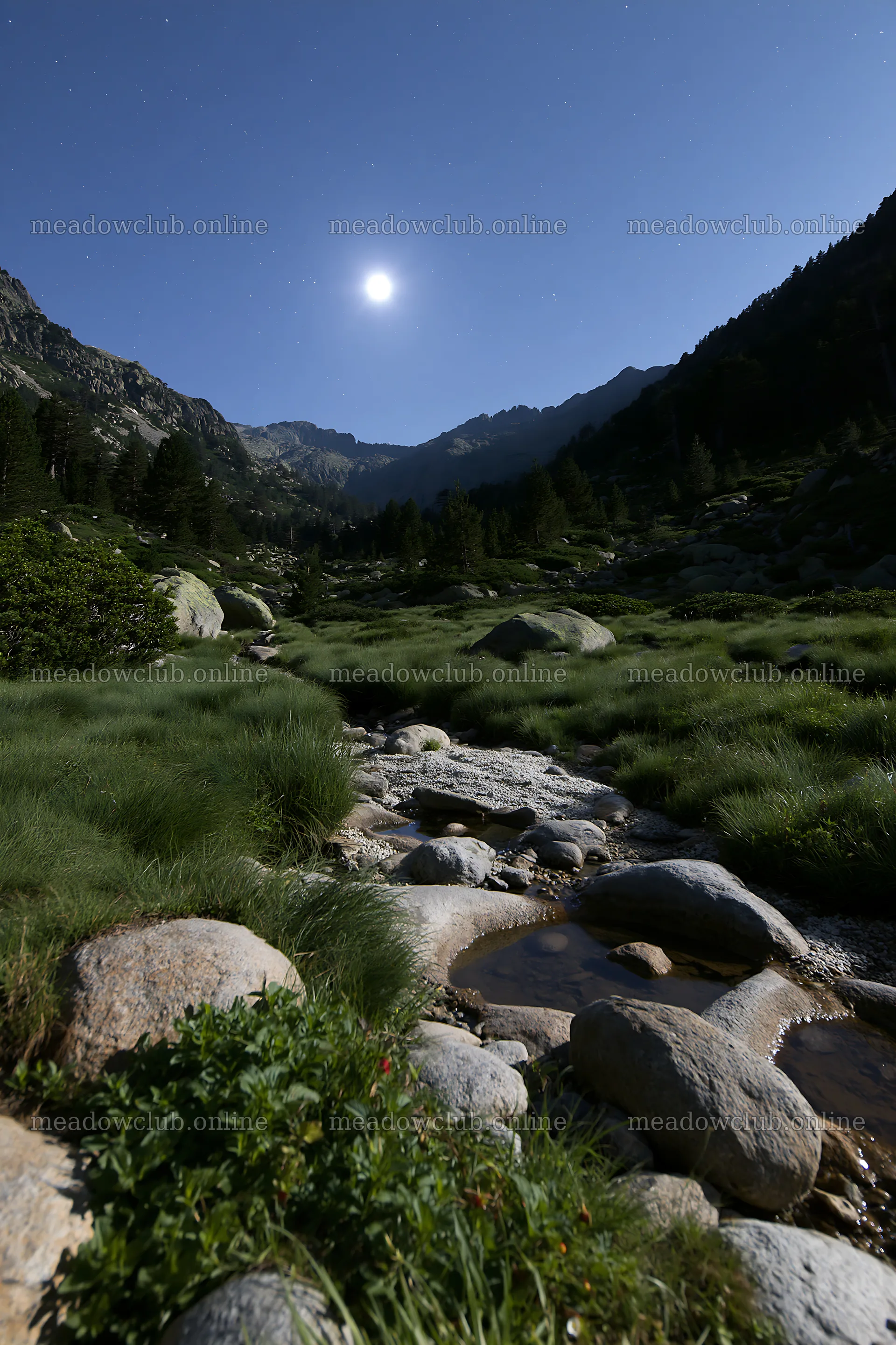 Moonlit meadow with a stream in rocky terrain – meadow photos 6480x9722