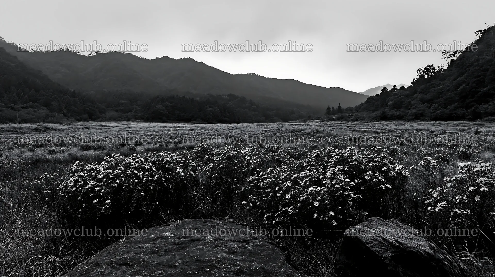 Hiroshima rainy meadow with rocks and distant mountains – meadow photos 10608x5938