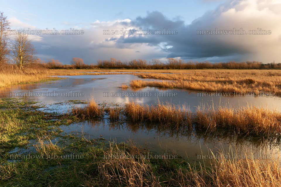 Autumn meadow with water and cloudy skies – meadow photos 9722x6480