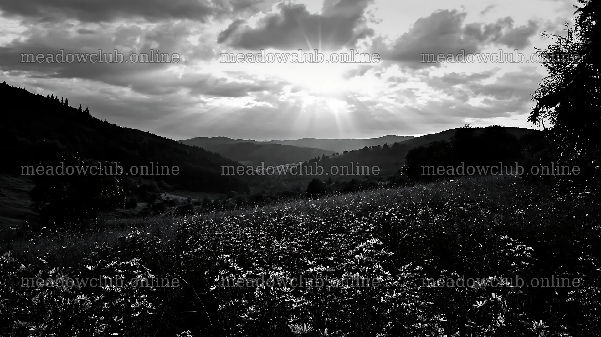 Christmas garlands across meadow landscape beneath cloudy sunbeams – meadow photos 10608x5938