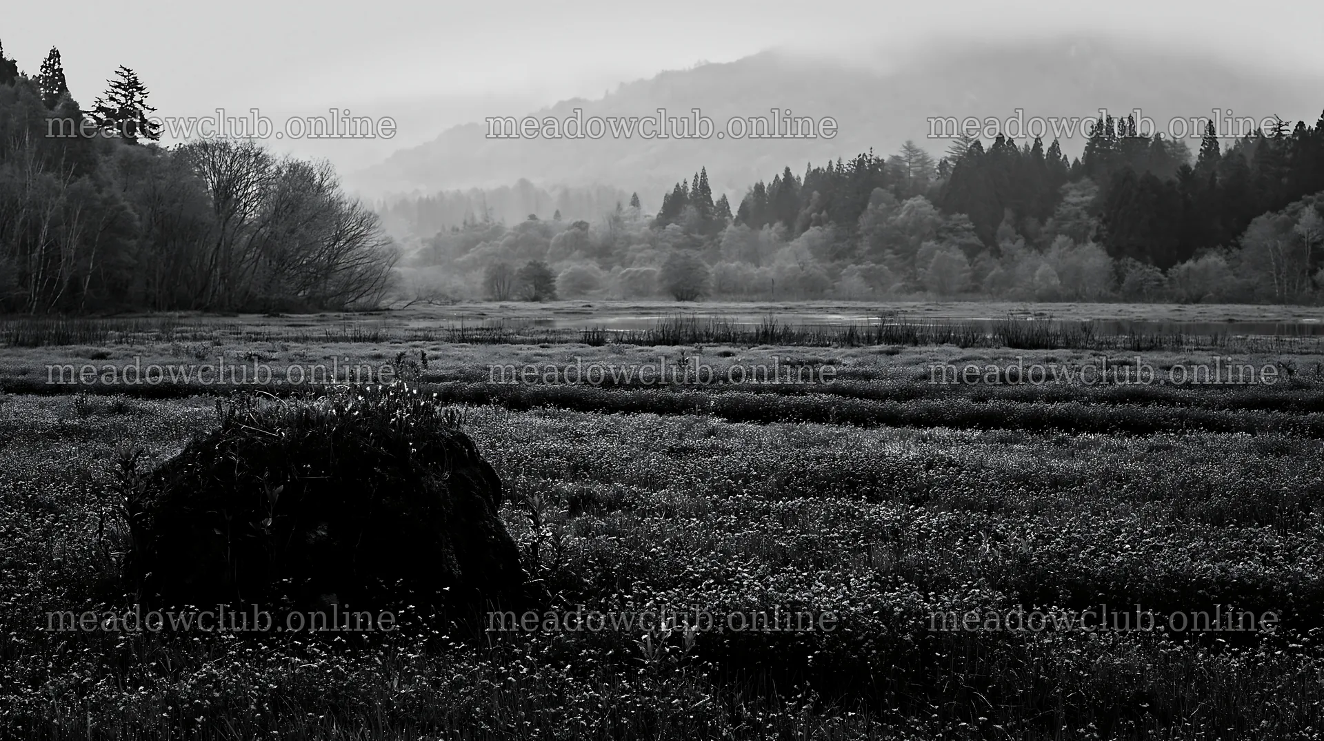 Miyagi spring recovery meadow mossy stone – meadow photos 10608x5938