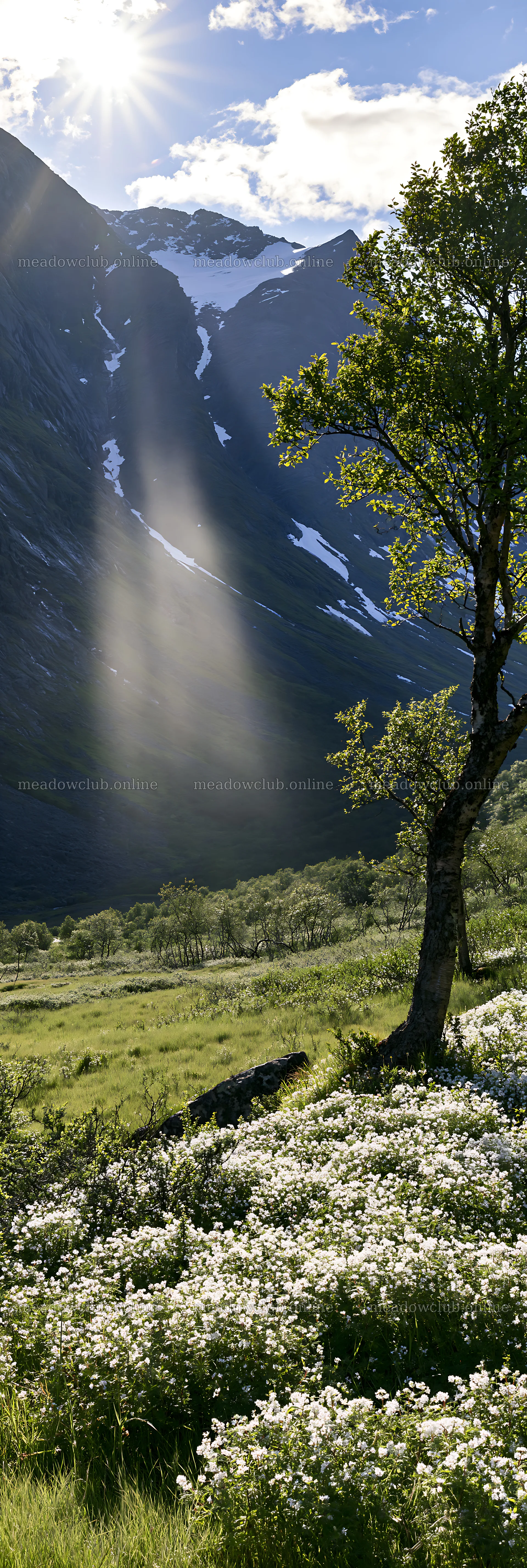 Sunbeams shine over Jotunheimen valley meadow and mountains – meadow photos 4602x13690