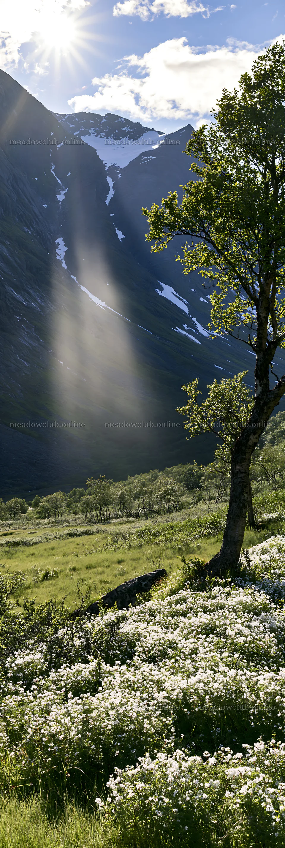 Sunbeams shine over Jotunheimen valley meadow and mountains – meadow photos 4602x13690