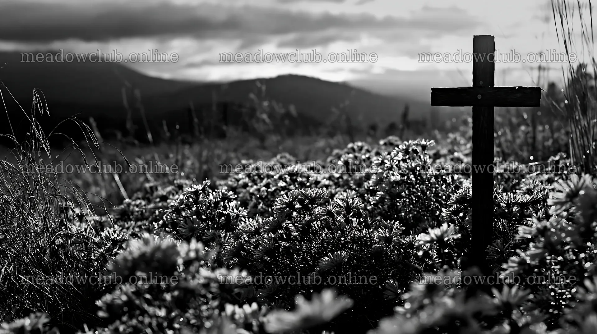 Christian cross in a meadow with flowers and mountains – meadow photos 10608x5938