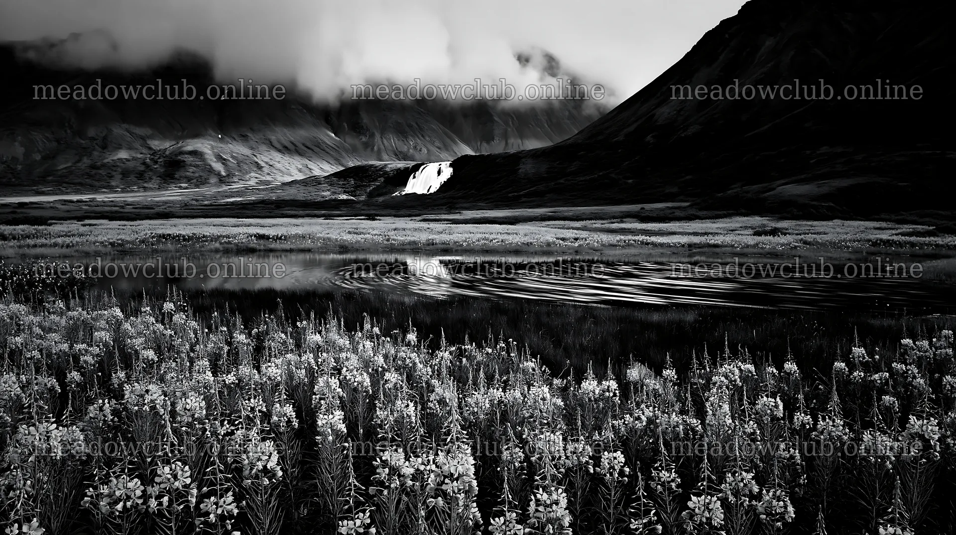 Flower meadow with waterfall reflection at a mountain location – meadow photos 10608x5938
