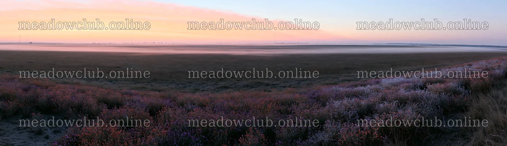 Frosty meadow at sunrise with distant landscape views – meadow photos 14762x4268