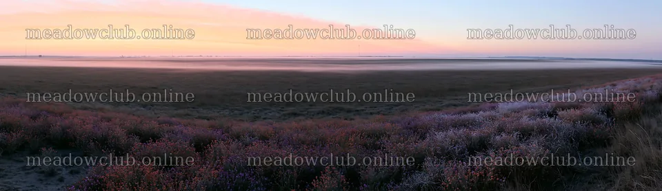 Frosty meadow at sunrise with distant landscape views – meadow photos 14762x4268