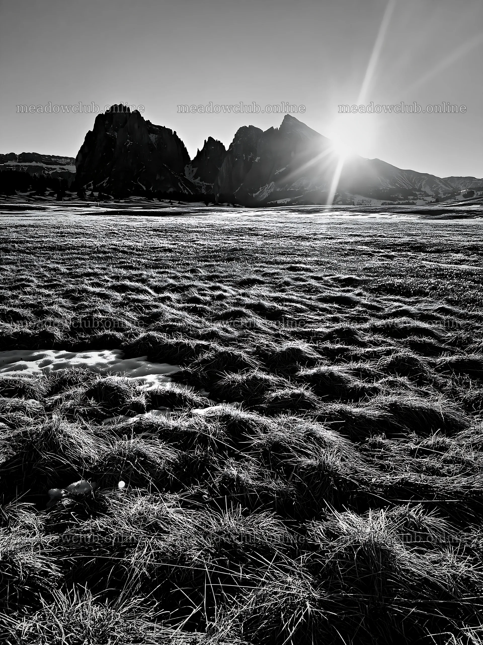 Sunbeams over Alpe di Siusi meadow at sunset – meadow photos 6866x9174