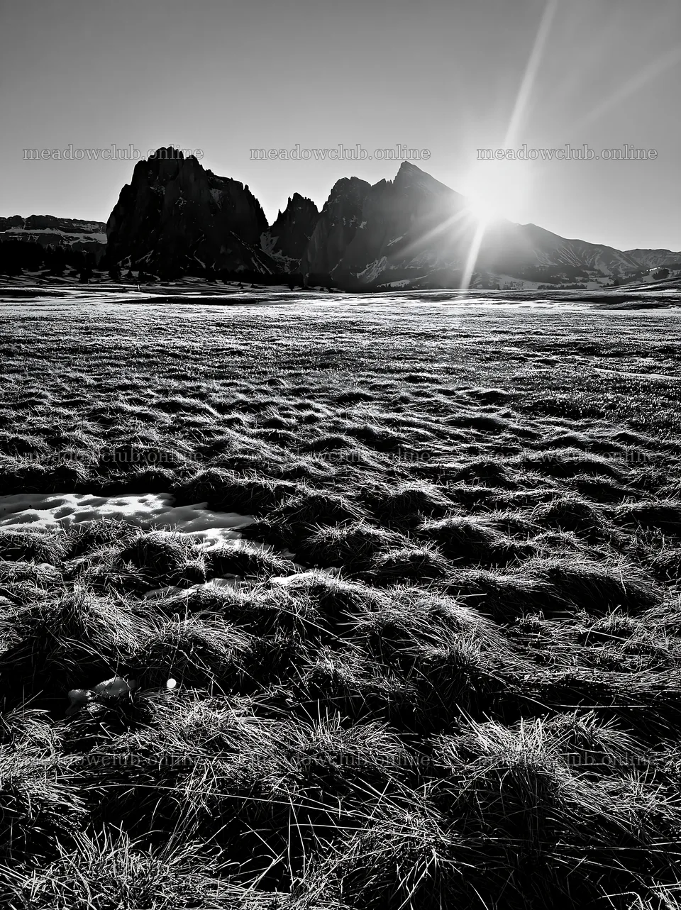 Sunbeams over Alpe di Siusi meadow at sunset – meadow photos 6866x9174