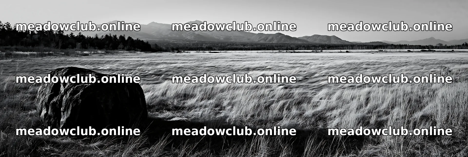 Nagano drought resilient meadow granite boulder in a wide field – meadow photos 13690x4602