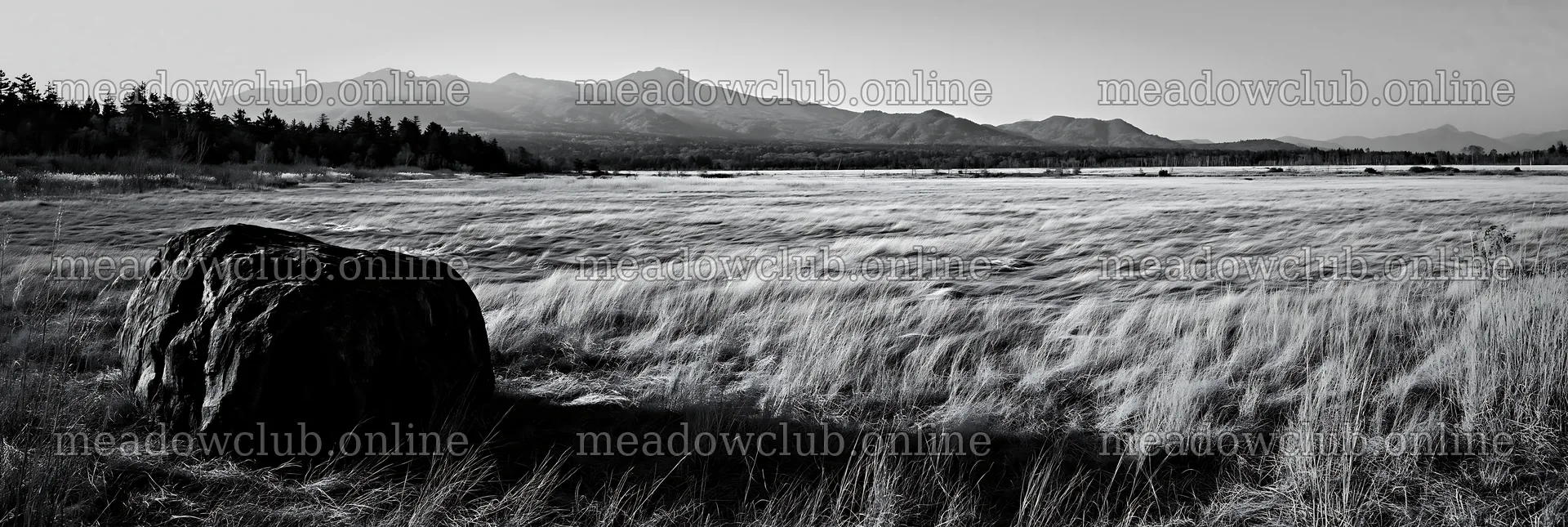 Nagano drought resilient meadow granite boulder in a wide field – meadow photos 13690x4602